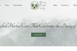 Create Business E-commerce website using Shopify